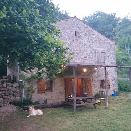 Maison De Vignes De Tournemire Tournemire  Eksteriør billede