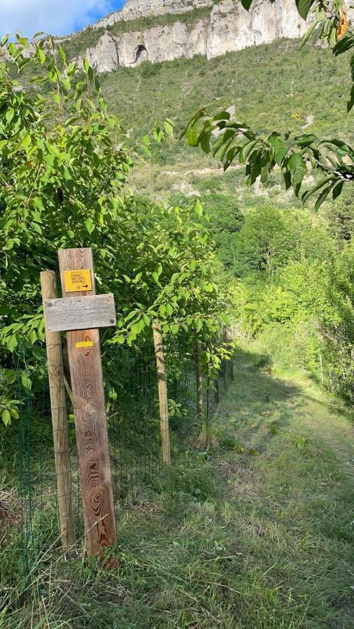 Maison De Vignes De Tournemire Tournemire  Eksteriør billede